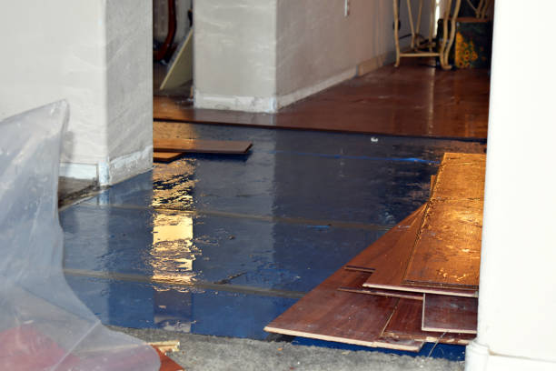 Professional Burst Pipe Cleanup technician working in Edgerton, WI
